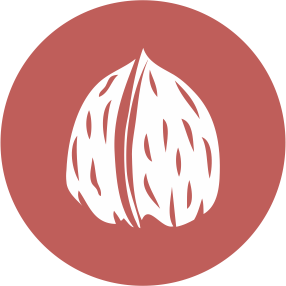 frutos-cascara