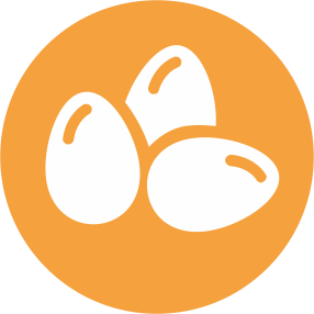 huevos